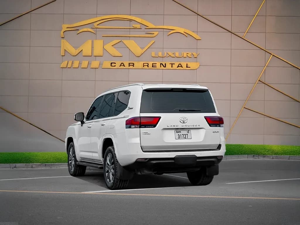 Toyota Land Cruiser view 3